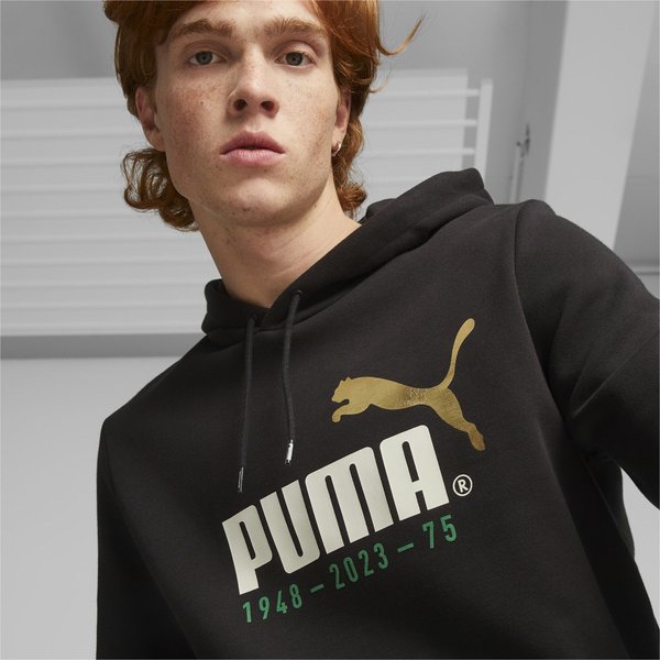 Bluza męska No. 1 Logo Celebration Puma