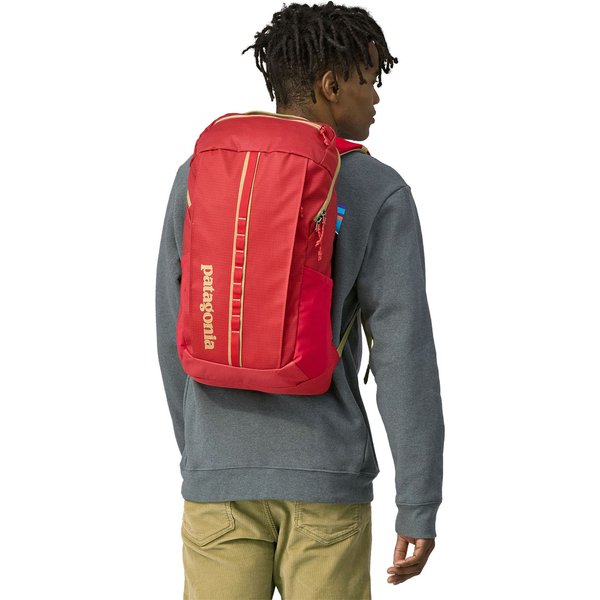 Plecak Black Hole Pack Logo 25L Patagonia - Endless Blue