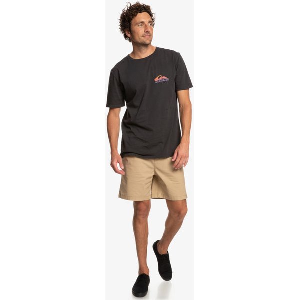 Koszulka męska Pastime Paradise Quiksilver