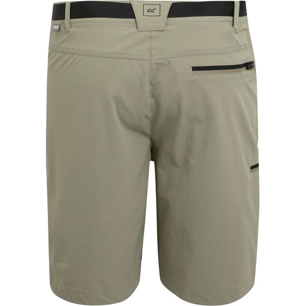 Spodenki trekkingowe męskie Xert III Regatta - Golden Sand