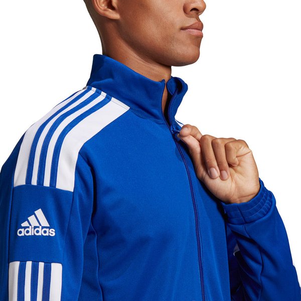 Bluza męska Squadra 21 Training Adidas - royal blue