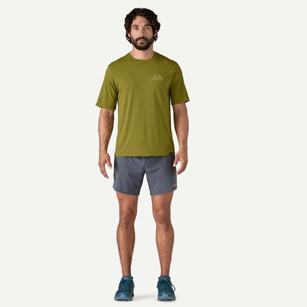 Koszulka męska Cool Daily Graphic Shirt-Lands Patagonia - Wind Runner: Graze Green X-Dye