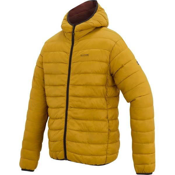 Kurtka puchowa męska Hooded Marizion Regatta - wood brown