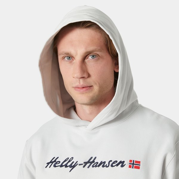 Bluza męska Core Graphic Sweat Hoodie Helly Hansen - nimbus cloud