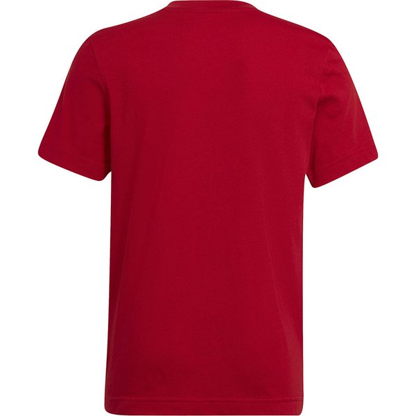 Koszulka juniorska Entrada 22 Tee Adidas