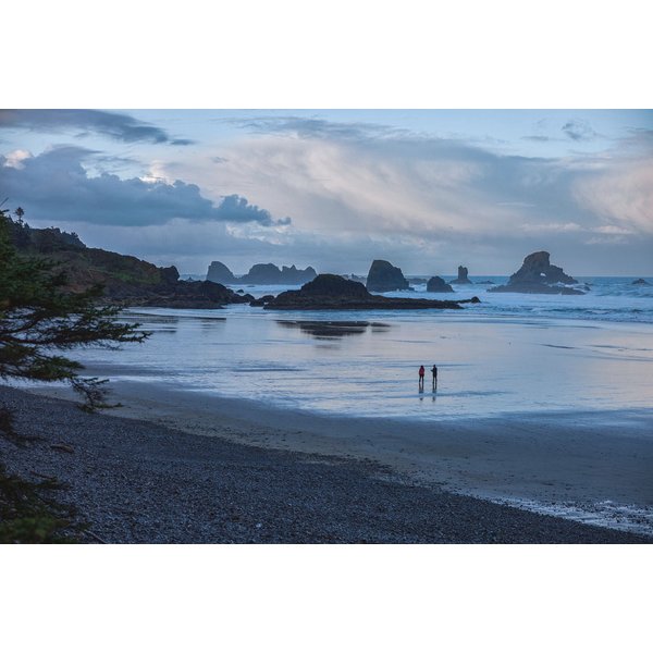 Spodnie trekkingowe damskie Vast Canyon High-Rise Softshell Columbia