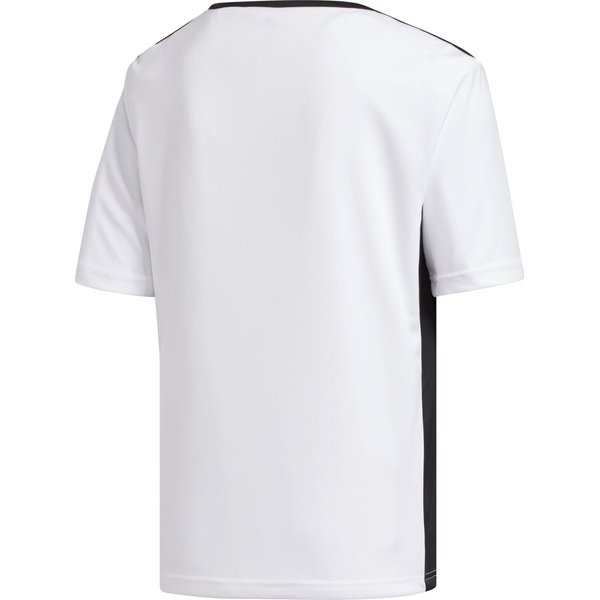 Komplet piłkarski junior Entrada 18 + Parma 16 Adidas - biało-zielony