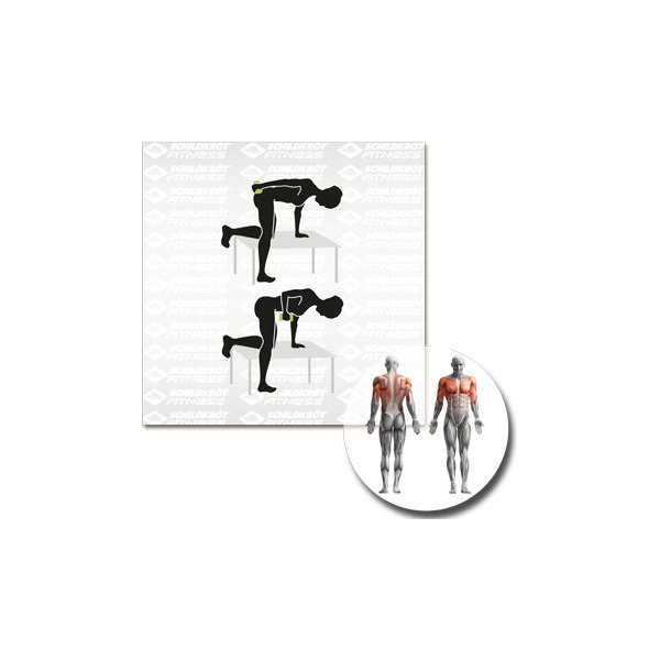 Hantle winylowe 2x1kg Schildkröt Fitness