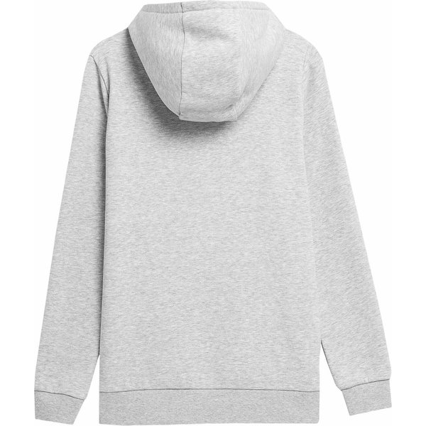 Bluza damska 4FSS23TSWSF372 4F - szara