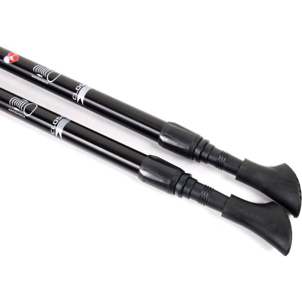 Kije do nordic walking Long Life SMJ