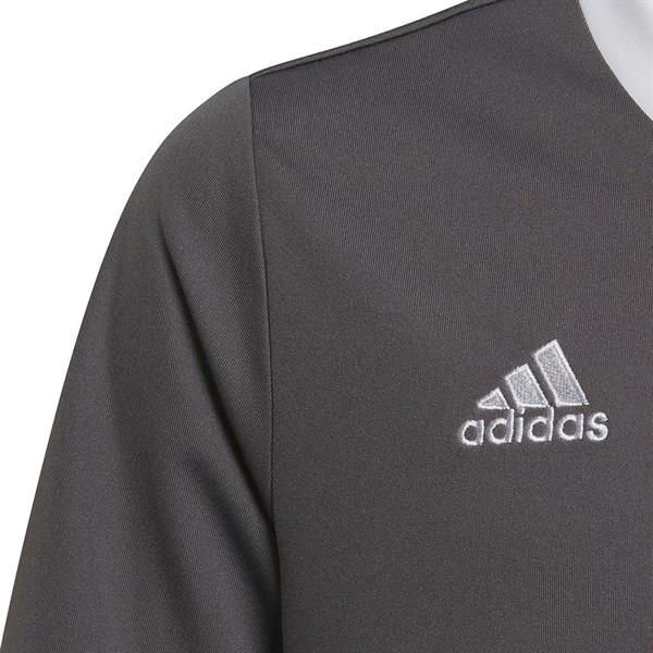 Koszulka juniorska Entrada 22 Jersey Adidas - szara