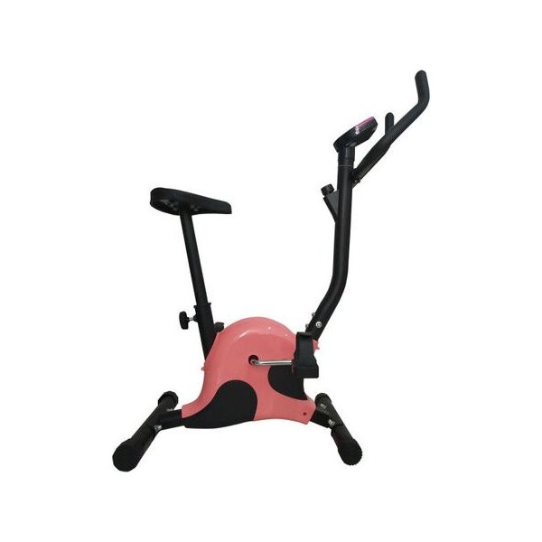 Rower treningowy B100A Energetic Body