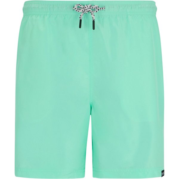 Spodenki kąpielowe męskie Mackleyna Regatta - ice green