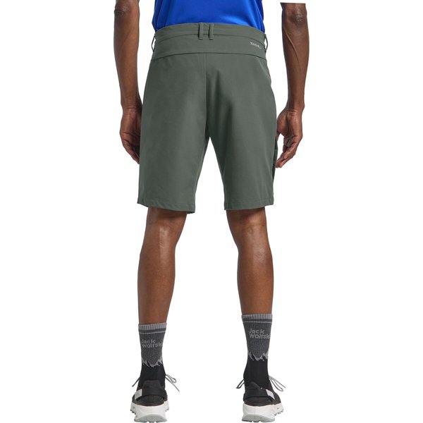 Spodenki męskie Pico Trail Jack Wolfskin - slate green