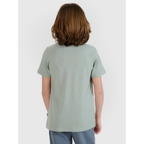 Koszulka chłopięca polo TPTSU513 4F - zielony