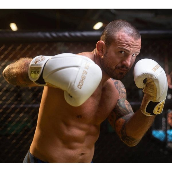 Rękawice bokserskie Hammer Bushido - white