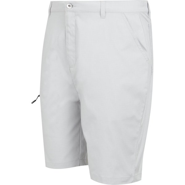 Spodenki męskie Dalry Regatta - Silver Grey
