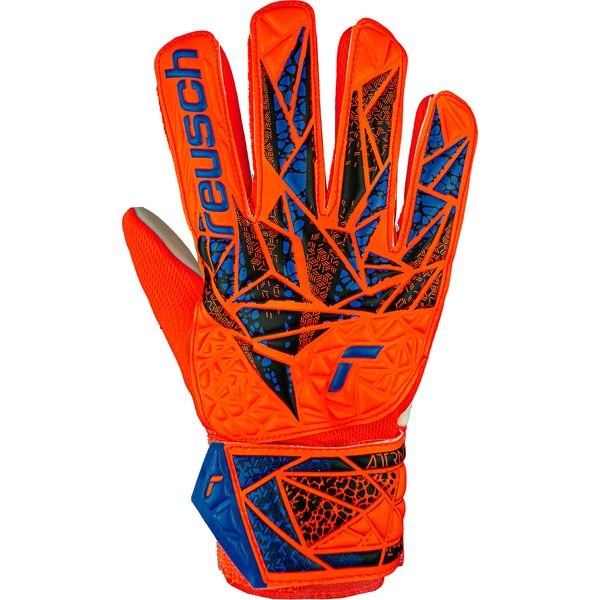 Rękawice bramkarskie Attrakt Starter Grip Reusch