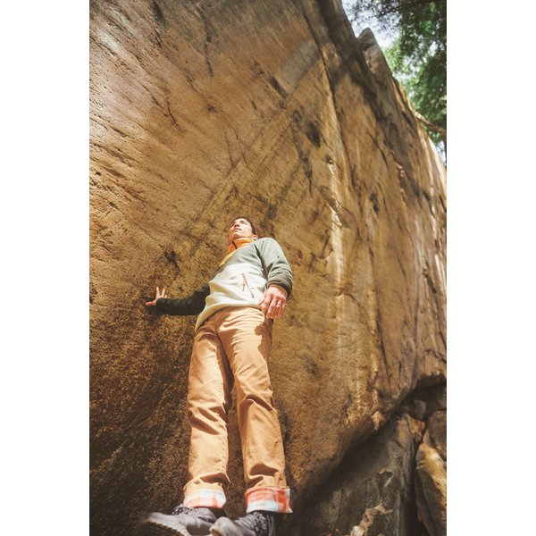 Bluza polarowa męska Sequoia Grove Half Zip Fleece Columbia - Light Camel, Dark Mtn, Coll Navy, Spicy Greenscape