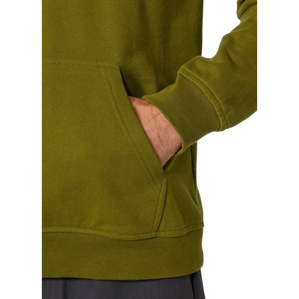 Bluza męska HH Hoodie Logo Helly Hansen - olive green