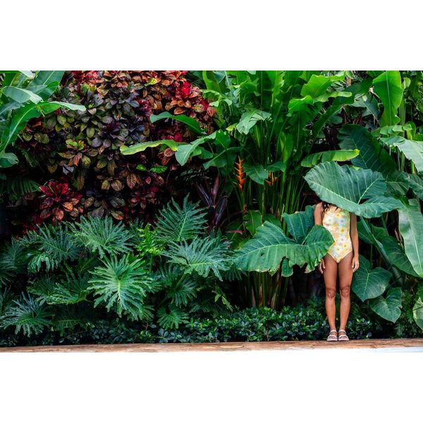 Sandały Hurricane XLT2 Wm's Teva - Basil/Maple Sugar Multi