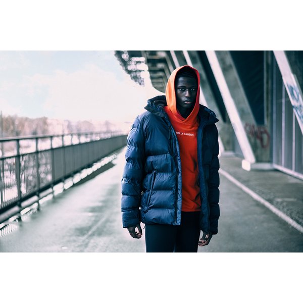 Bluza męska Core Graphic Sweat Hoodie Helly Hansen - nimbus cloud