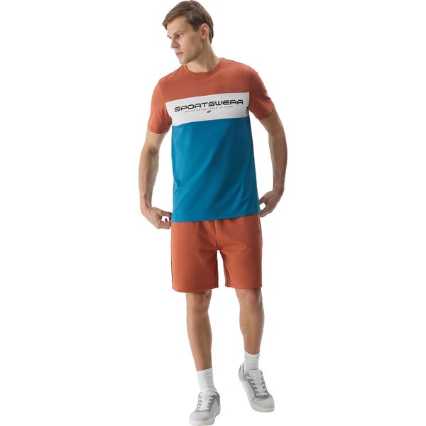 Spodenki męskie 4FWSS24TSHOM344 4F - brąz