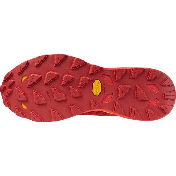 Buty do biegania Wave Daichi 8 GTX Mizuno