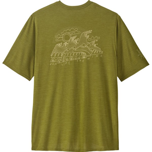 Koszulka męska Cool Daily Graphic Shirt-Lands Patagonia - Wind Runner: Graze Green X-Dye