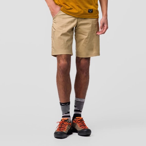 Spodenki męskie Fanes Light Salewa - quicksand