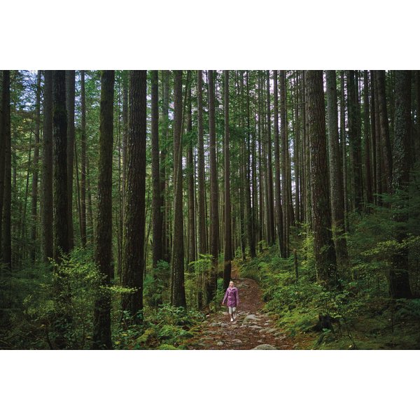 Kurtka damska Weekend Adventure II Long Columbia - Safari