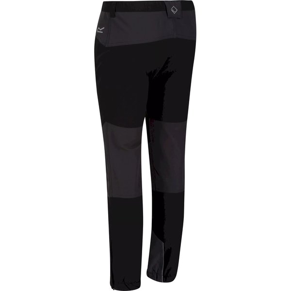 Spodnie trekkingowe juniorskie Tech Mountain Regatta - black/ash