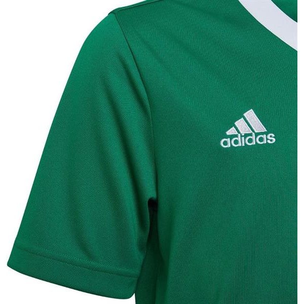 Koszulka juniorska Entrada 22 Jersey Adidas - zielona