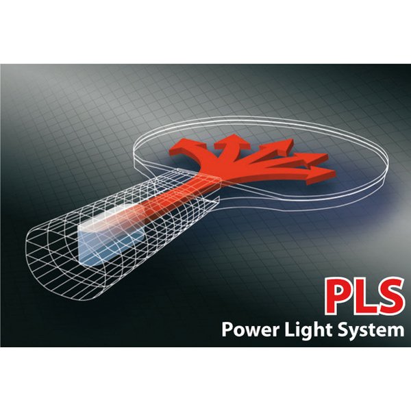 Rakietka do tenisa stołowego Legends 900 FSC Donic Schildkrot