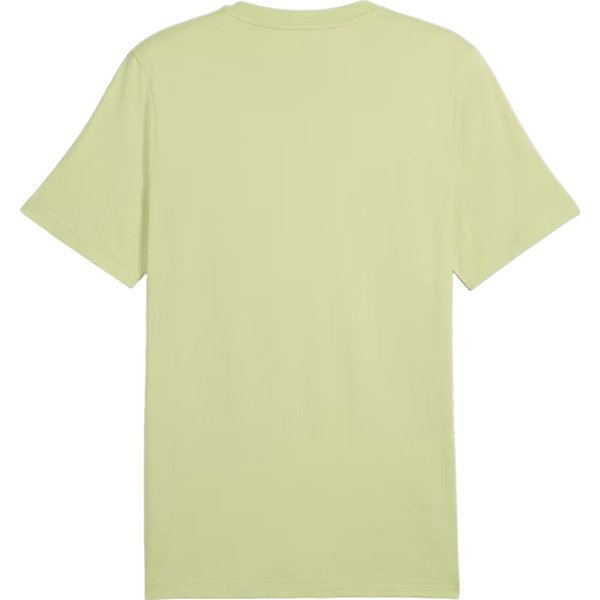 Koszulka męska Open Road Mountain Graphic Tee Puma - Pistachio