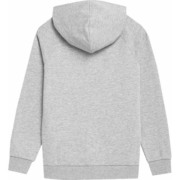 Bluza chłopięca 4FJSS23TSWSM220 4F - szary