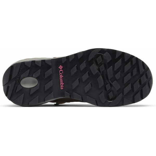 Buty trekkingowe Newton Alpine Pt Columbia - wet sand, rosette