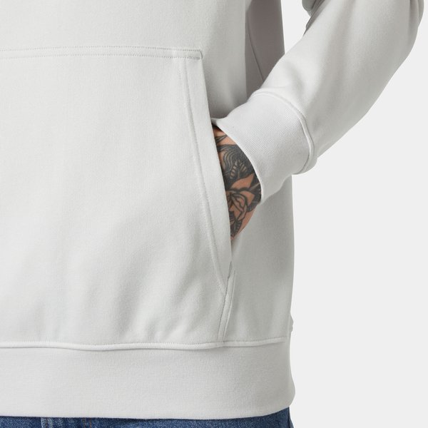 Bluza męska Core Graphic Sweat Hoodie Helly Hansen - nimbus cloud