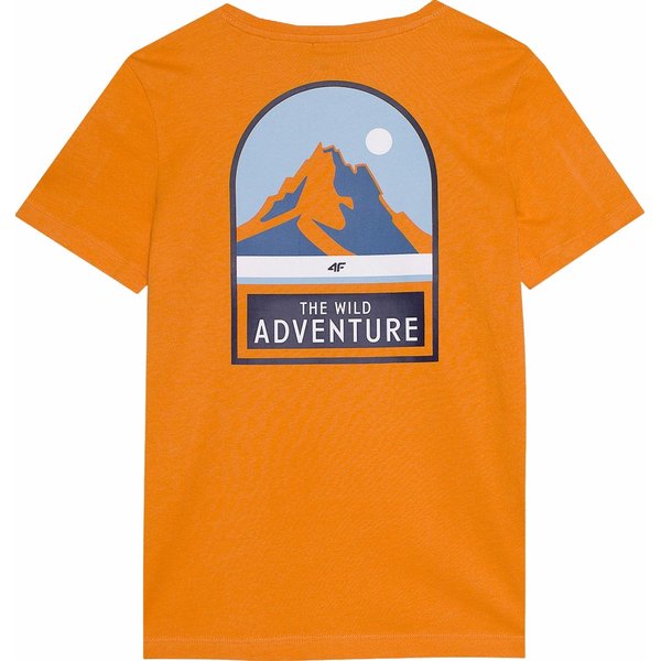 Koszulka chłopięca 4FJWSS24TTSHM1131 4F - pomarańcz