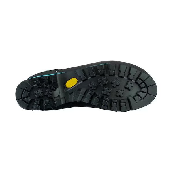 Buty trekkingowe Crow GTX Wm's Salewa