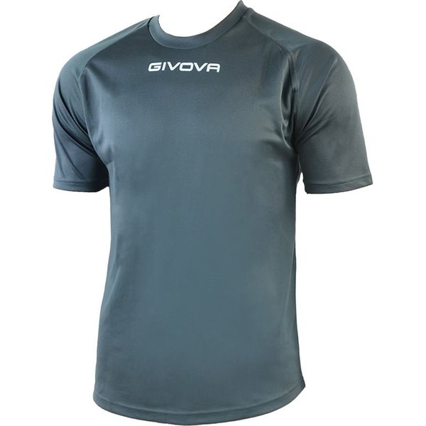 Koszulka męska One Givova - szara