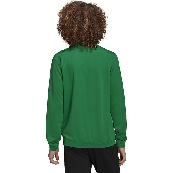 Dres męski Entrada 22 Adidas - zielony/czarny