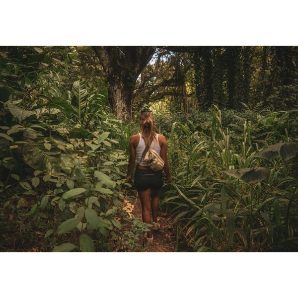 Saszetka, nerka Jagger Hybrid Hip Pack 3,8L Dakine - czarna