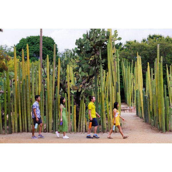 Butelka termiczna Wide Flex Cap 1,18L Hydro Flask - indigo