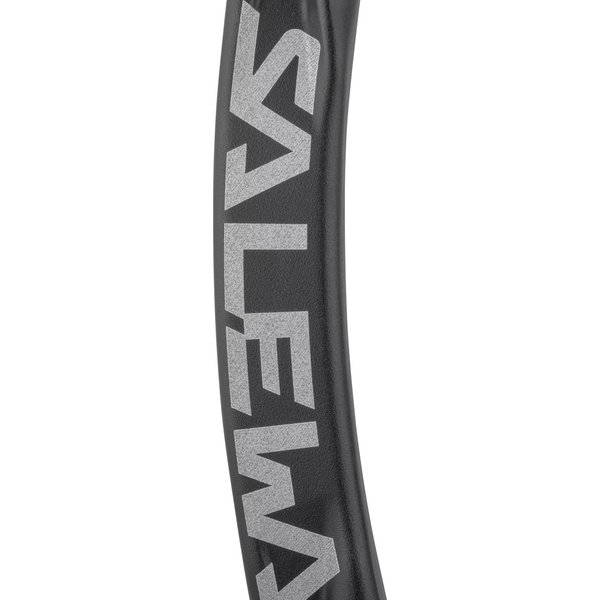 Karabinek Ortles Straight Salewa