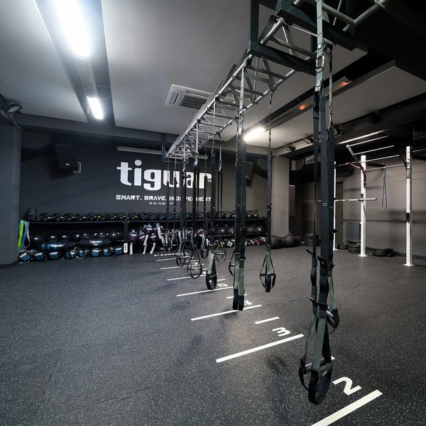 Taśmy do ćwiczeń Alfa One Tiguar