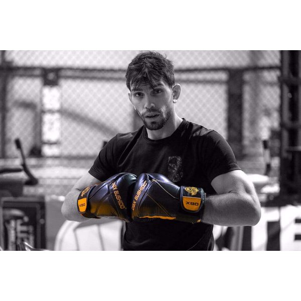 Rękawice bokserskie Hammer Bushido - black