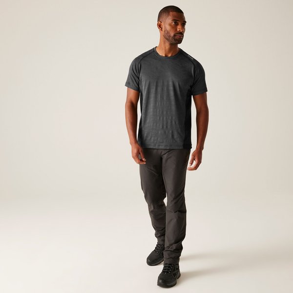 Koszulka męska Corballis II Regatta - Ash/Black