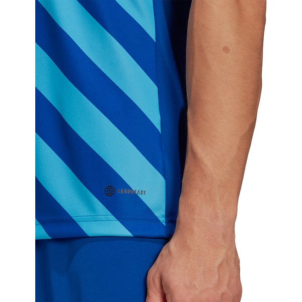 Koszulka męska Entrada 22 Graphic Adidas - niebiesko-błękitna