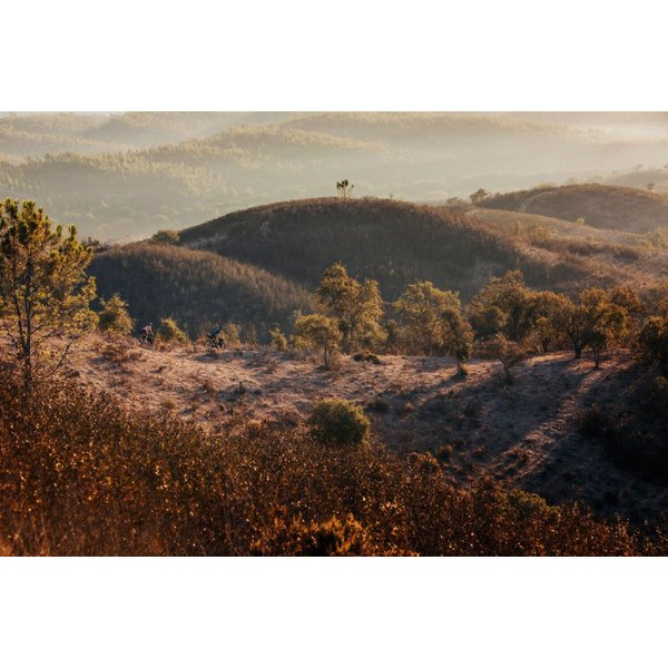 Sakwa rowerowa Gravex 15L Jack Wolfskin